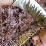 MudWorkOnWalls MudWorkOnWalls