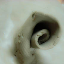 spiral